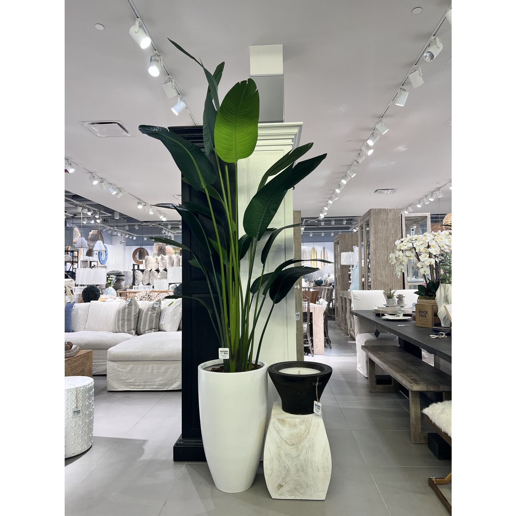 Outside The Box 8' Travelers Silk Palm In 27" White Smooth Pot