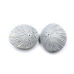 Outside The Box 2" Sea Shell White & Blue Stripes Salt & Pepper Shaker Set