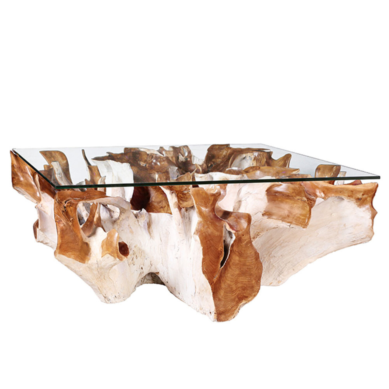 Outside The Box 51x43 Taman White Wash & Natural Teak Root Coffee Table W/ Glass Top