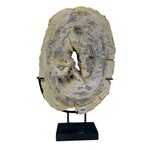 Outside The Box 22" Endcut Petrified Wood With Stand