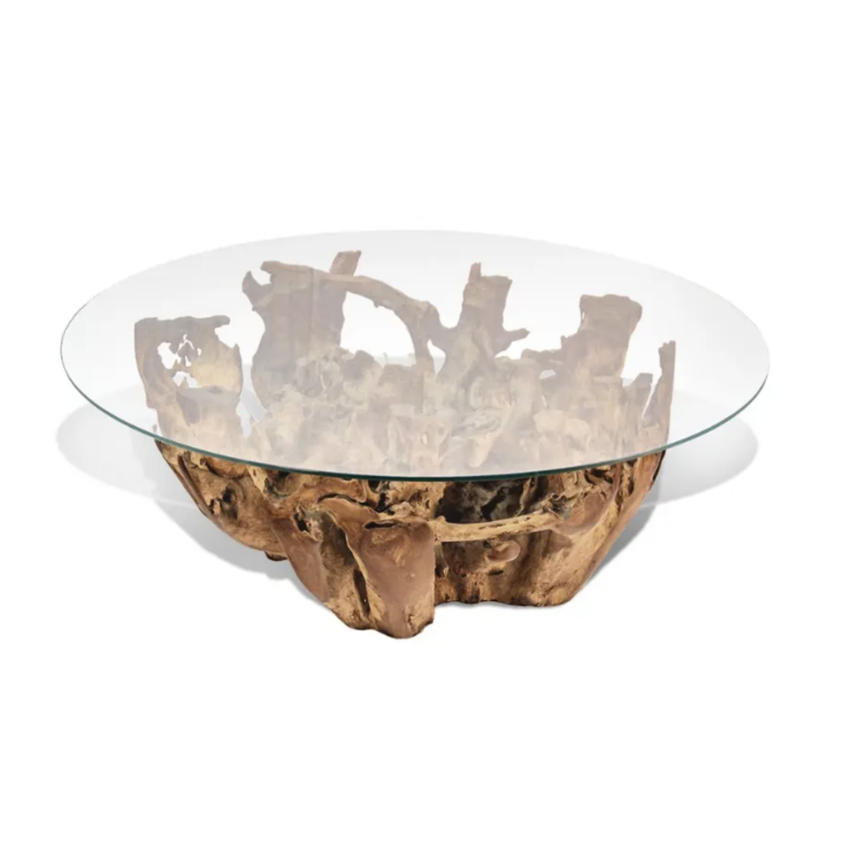 Outside The Box 42" Natural Coffee Tree Root Wood Round Cocktail Table With Glass