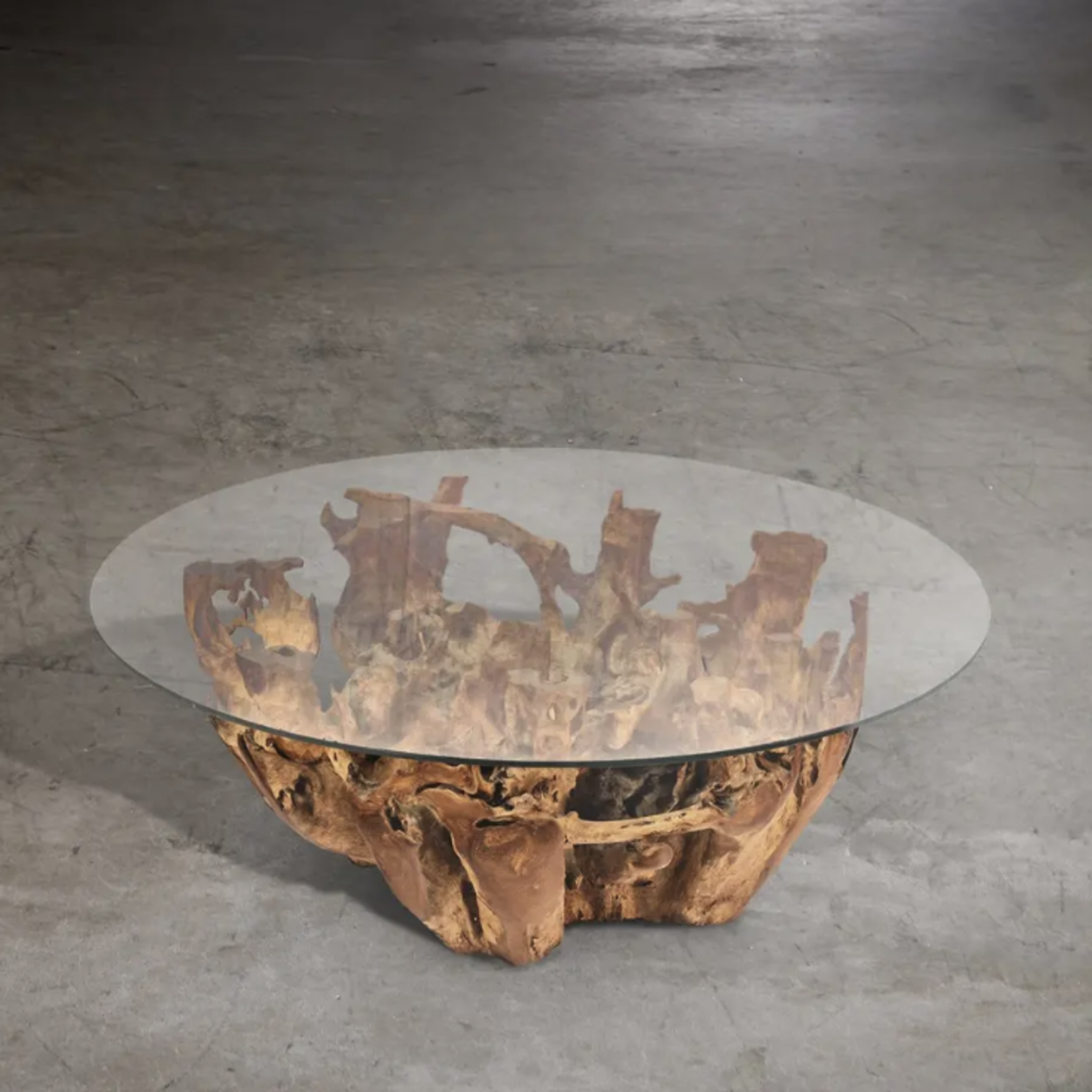 Outside The Box 42" Natural Coffee Tree Root Wood Round Cocktail Table With Glass