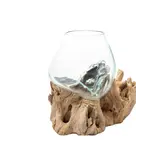 Outside The Box 10" Hand Blown Glass Vase On Driftwood Base - S