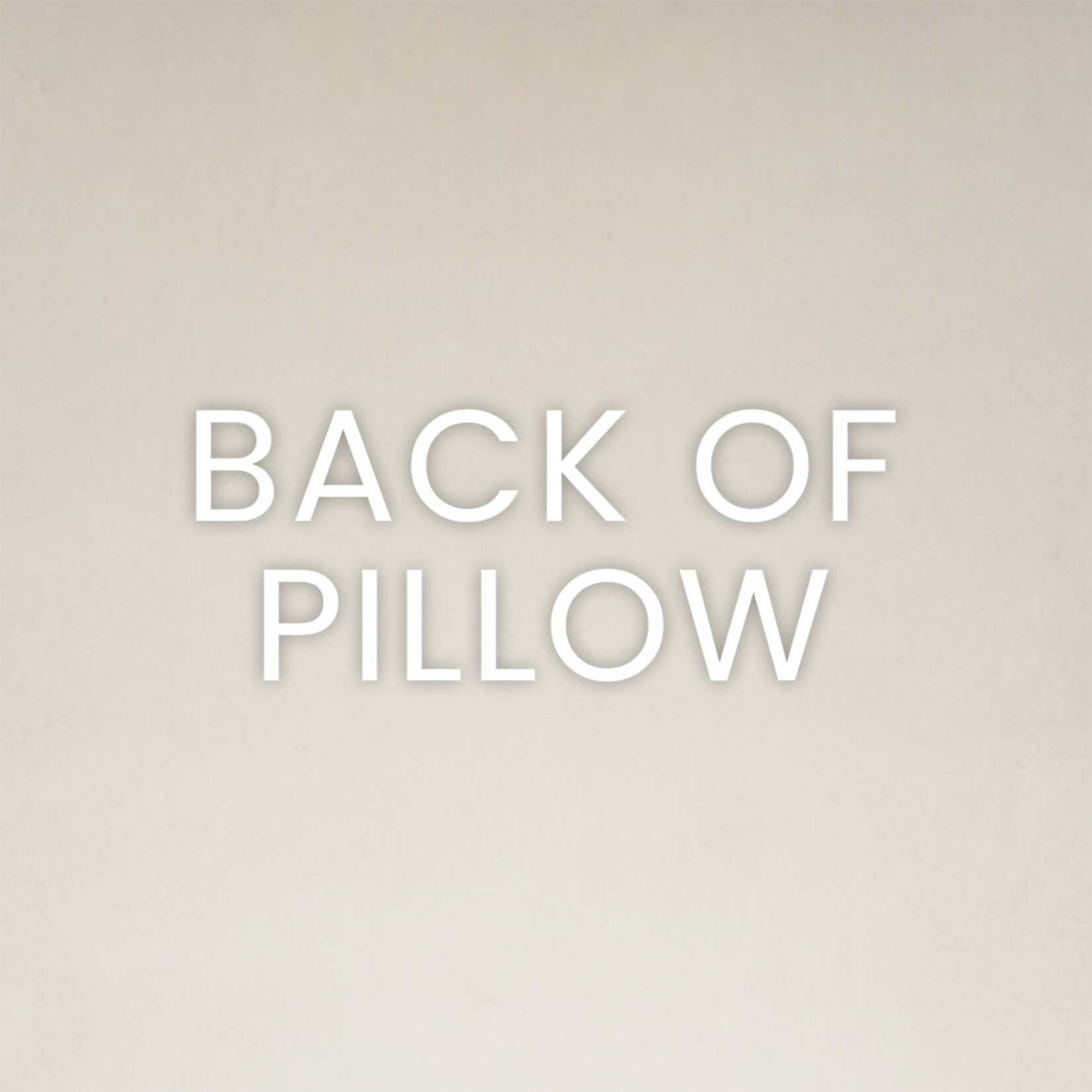 Outside The Box 24x24 Dandy Square Feather Down Pillow In Fiesta - DV KAP