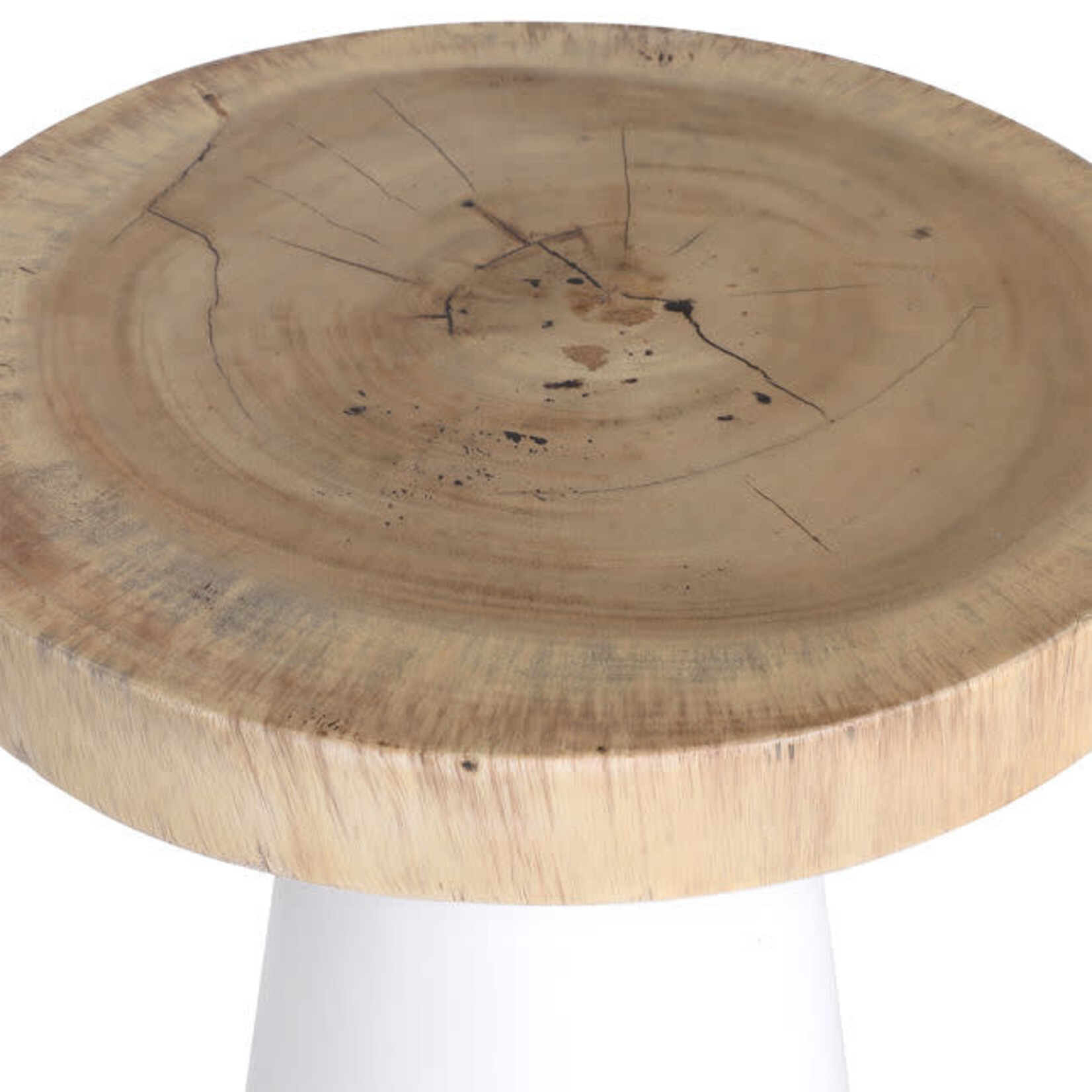 Outside The Box 24x16 Lucille White Natural Suar Wood Round Side Table