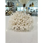 Outside The Box 9x6x9 Natural White Bird Nest Coral