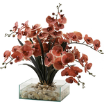 Outside The Box 28" Red & Cream Phael Orchids In Square Aquarium Glass