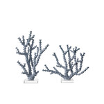 Outside The Box 15" & 11" Currey & Co Set Of 2 Blue Coral Sculptures On Acrylic Base