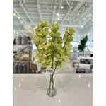 Outside The Box 29" Green & Burgundy Cymbidium Orchid In Glass Vase