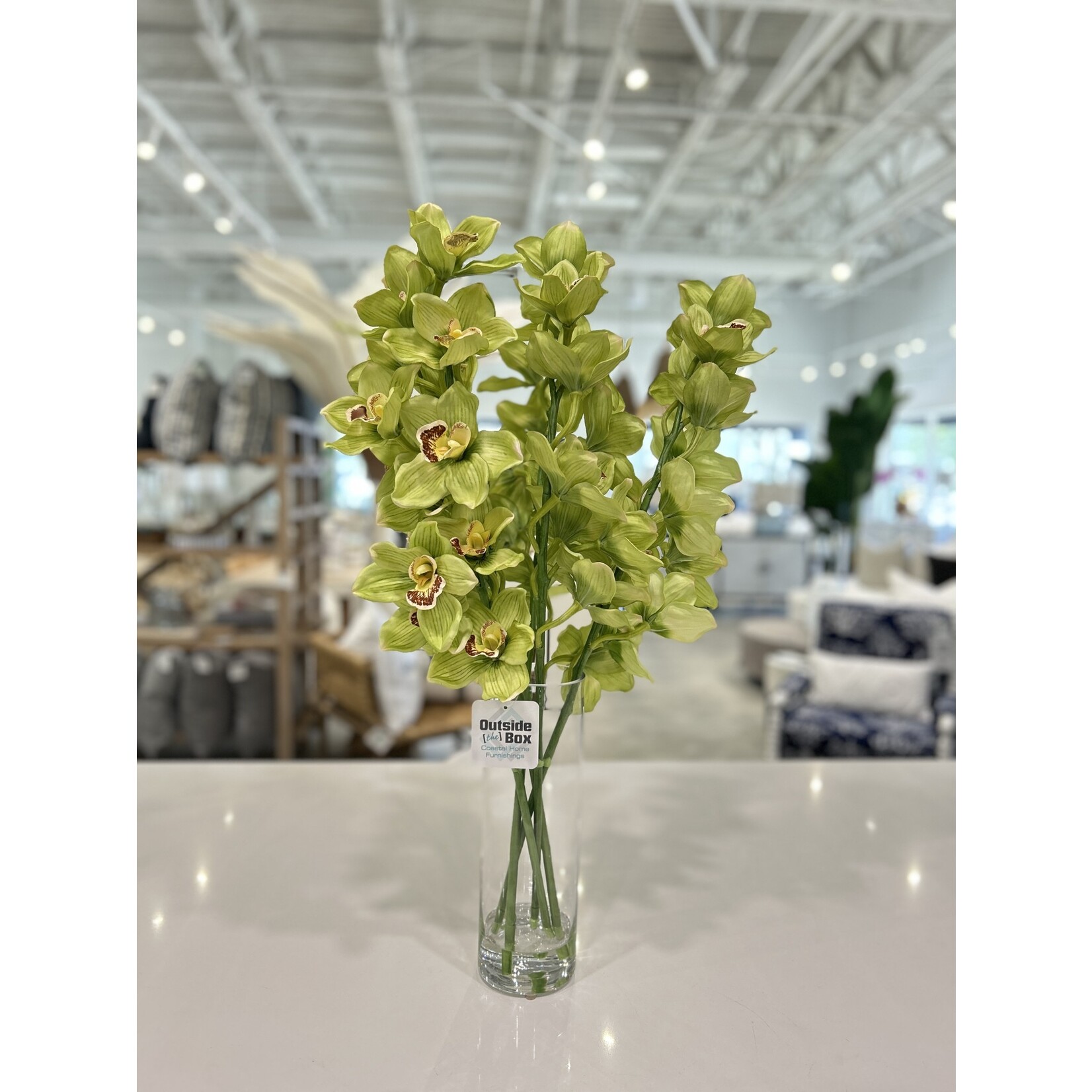 Outside The Box 29" Green & Burgundy Cymbidium Orchid In Glass Vase