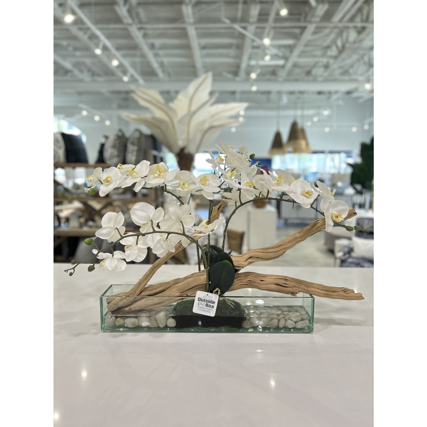 Outside The Box 18" White Phael Orchids & Ghostwood In Rectangle Aquarium Glass