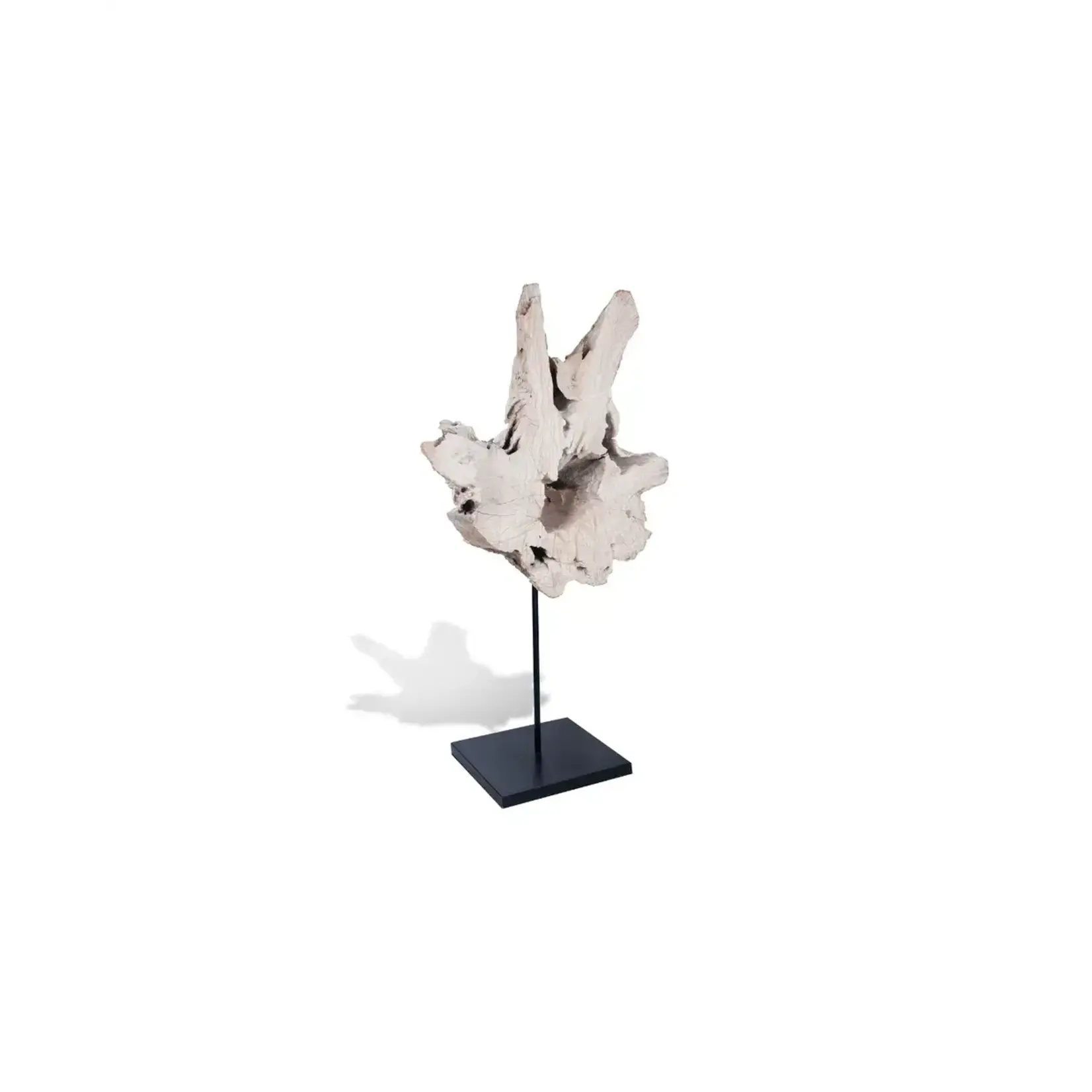 Outside The Box 47" Hemisphere Bleached Teak Wood Sculpture On Base