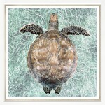 Outside The Box 43x43 Trowbridge Floating Turtle  Art With Linen Slip