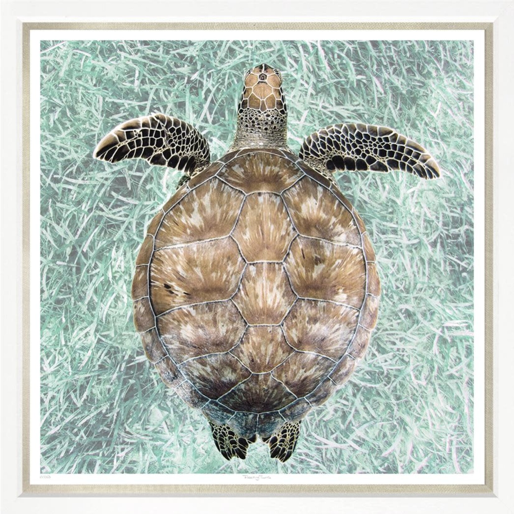 Outside The Box 43x43 Trowbridge Floating Turtle  Art With Linen Slip