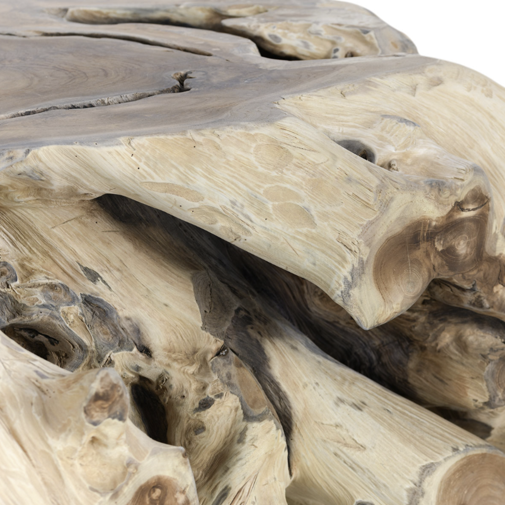 Outside The Box 40" Natural Cypress Root Square Coffee Table