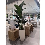 Outside The Box 8' Travelers Silk Palm  In White Sand Stone Pot
