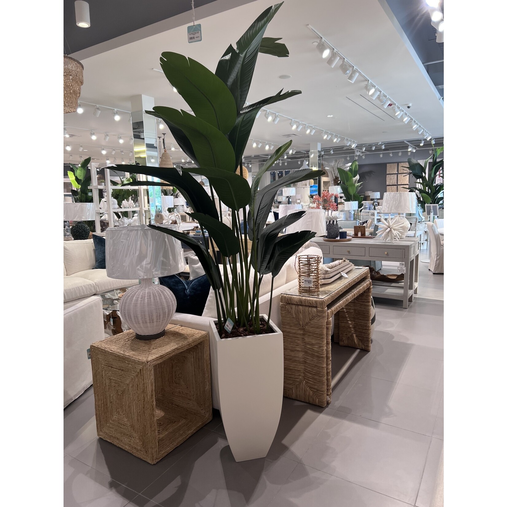 Outside The Box 8' Travelers Silk Palm  In White Sand Stone Pot
