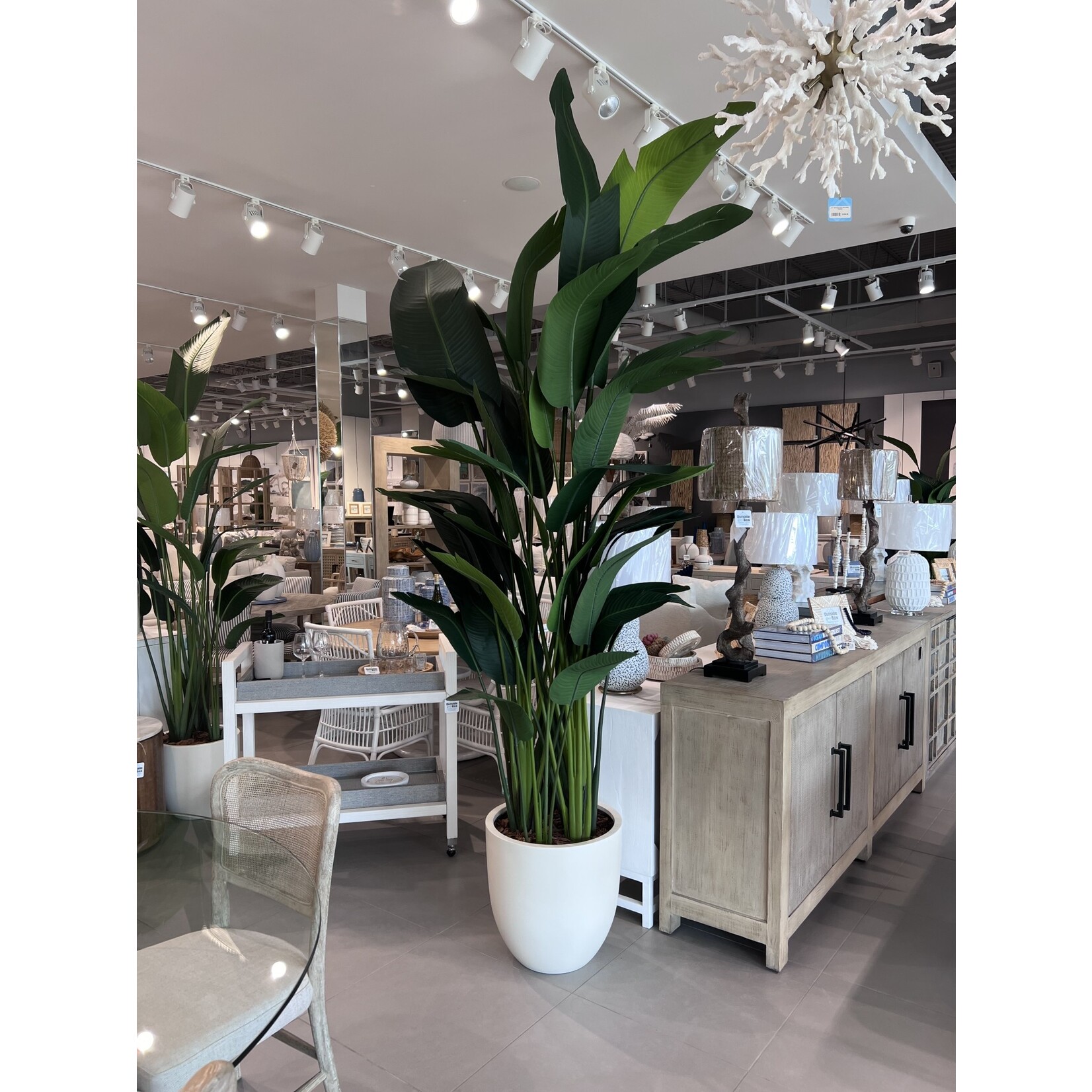 Outside The Box 10' Deluxe Travelers Palm Silk Plant In White Pot