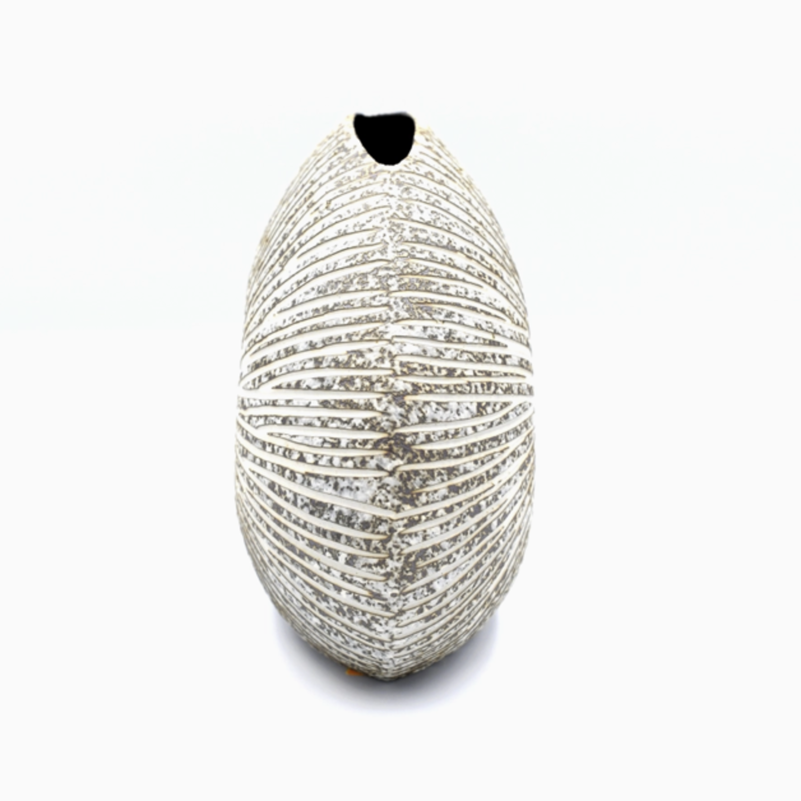 Outside The Box 6" Diva Brown & White Lines Handcrafted Porcelain Mini L-Shape Bud Vase - 225W16