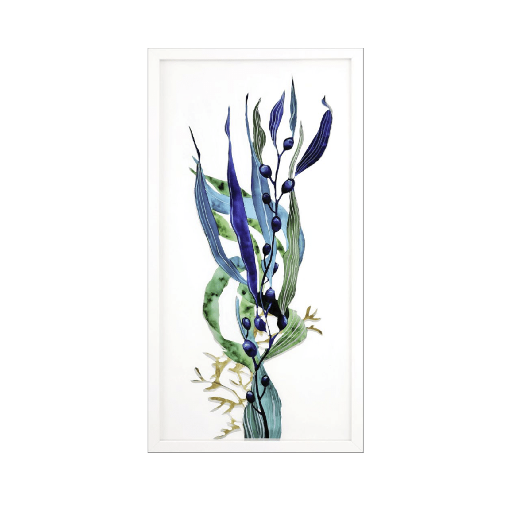 Outside The Box 42X22 Sea Life #1 Shadow Box Artwork
