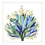 Outside The Box 42x42 Sea Life #3 Shadow Box Artwork