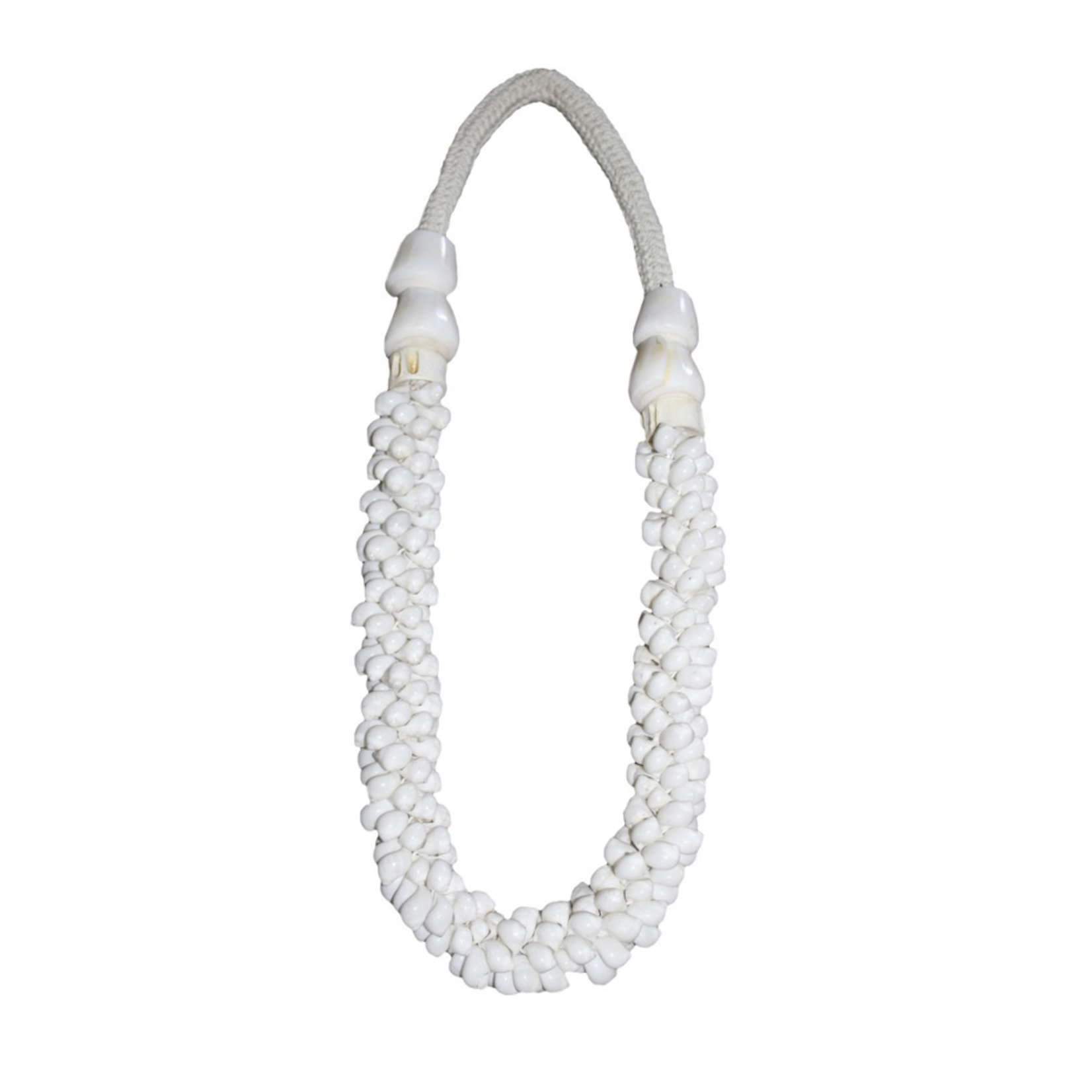 Outside The Box 20" Polinices & Conus Shells  Garland Decor