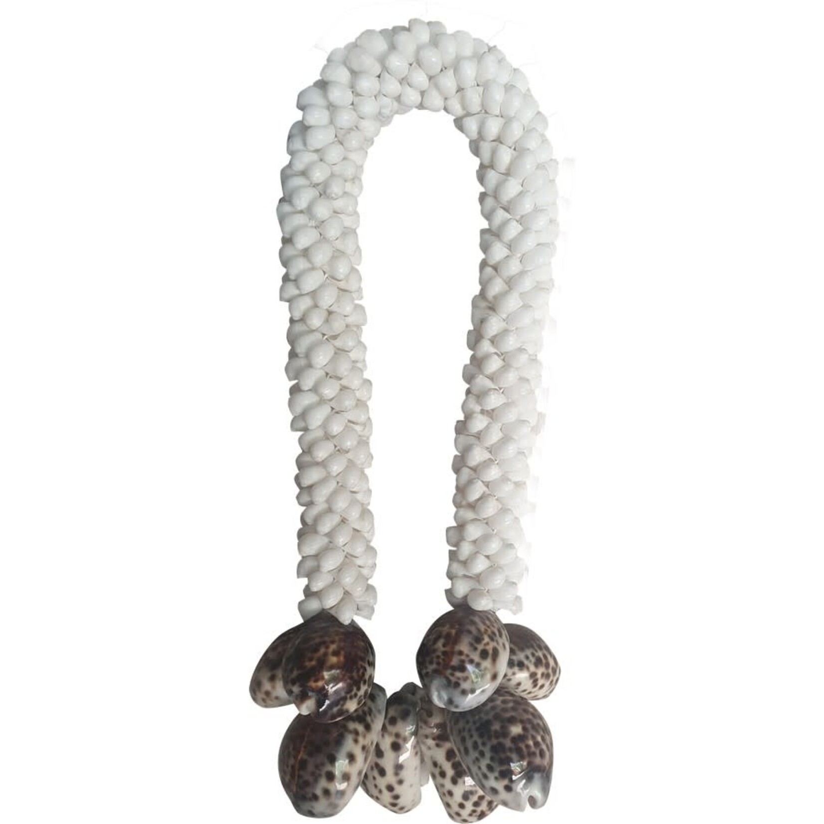 Outside The Box 13" Cypraea Tigris Natural Shell Garland Decor