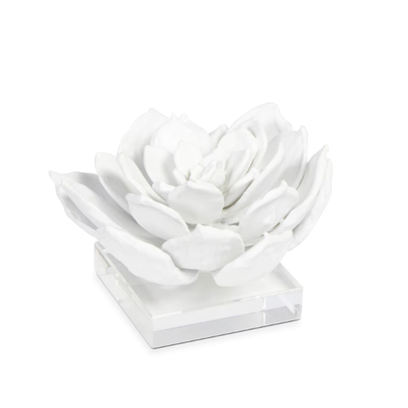 Outside The Box 4" Regina Andrew Succulent White Resin Sculpture On Lucite Base