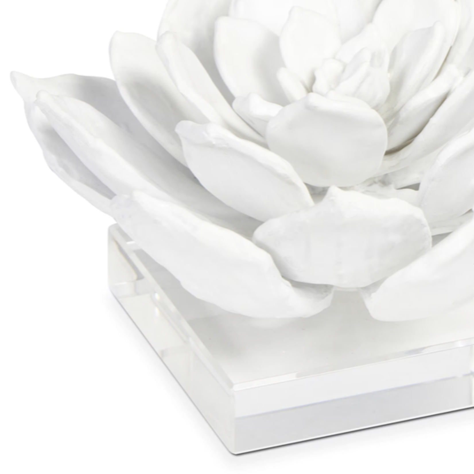Outside The Box 4" Regina Andrew Succulent White Resin Sculpture On Lucite Base