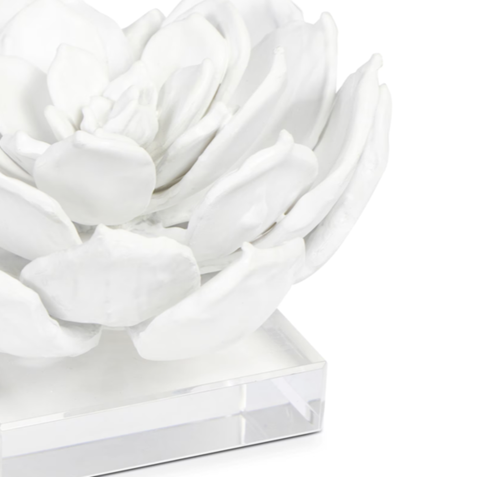 Outside The Box 4" Regina Andrew Succulent White Resin Sculpture On Lucite Base