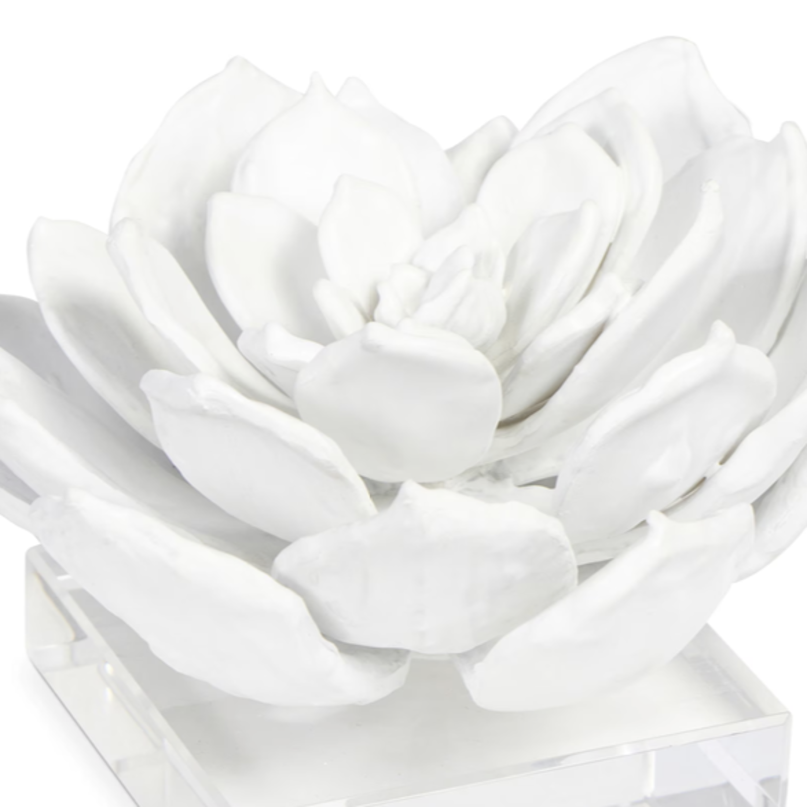Outside The Box 4" Regina Andrew Succulent White Resin Sculpture On Lucite Base