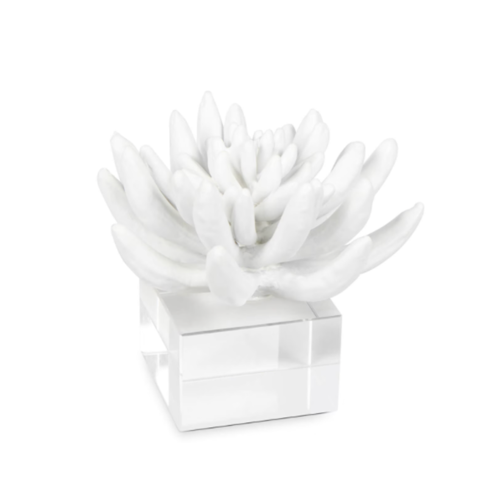 Outside The Box 6" Regina Andrew Succulent White Resin Sculpture On Lucite Base