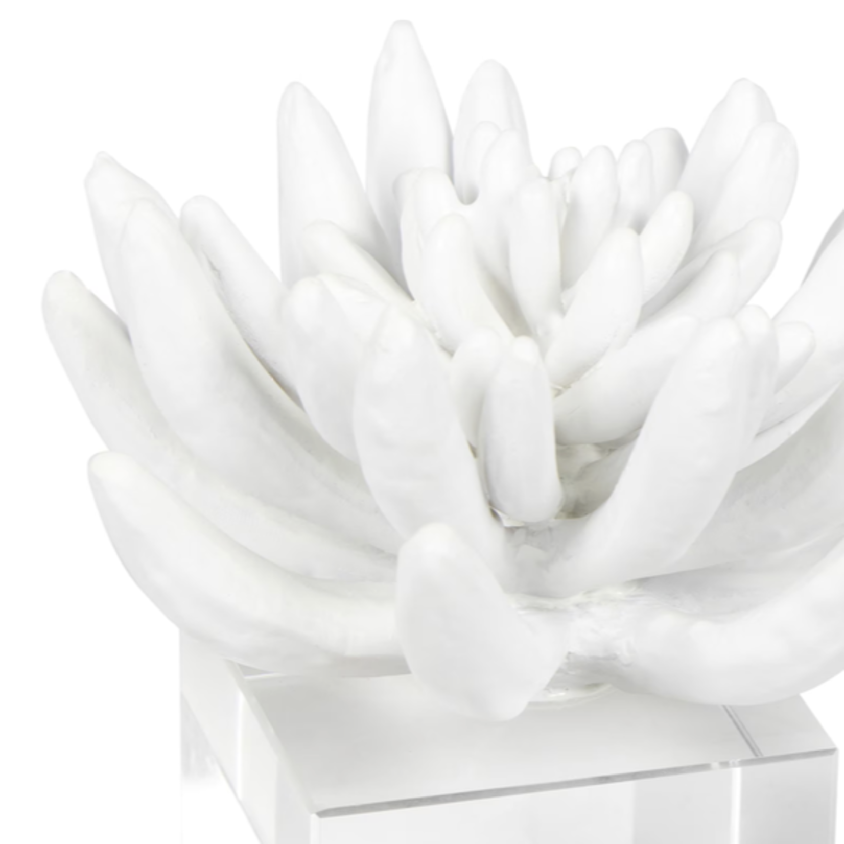 Outside The Box 6" Regina Andrew Succulent White Resin Sculpture On Lucite Base