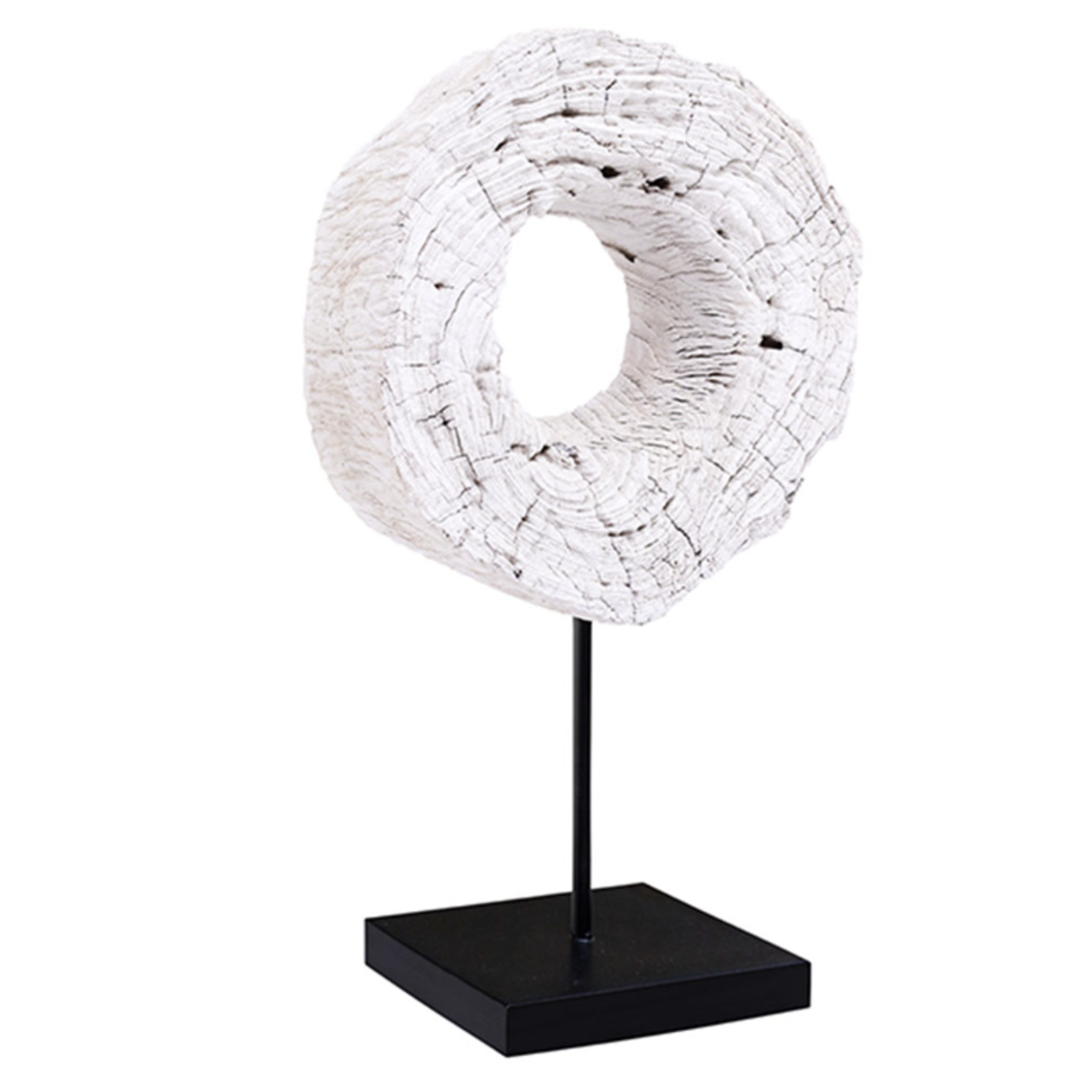 Outside The Box 24" Bleached Teak Wood Sculpture On Black Stand