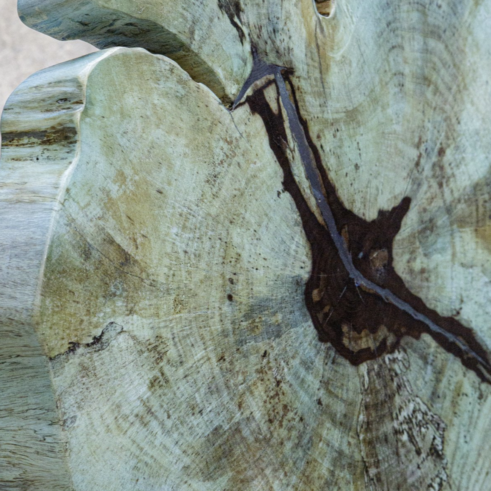 Outside The Box 23" Uttermost Bahati Blue Tamarind Wood Sculpture On Black Base
