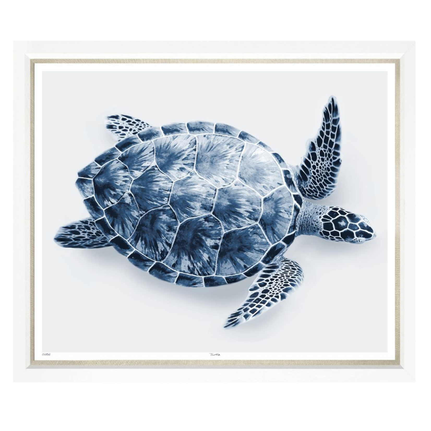 Outside The Box 50x43 Trowbridge Blue Turtle White Frame With Linen Slip