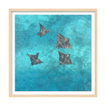 Outside The Box 21x21 Cool Vacation 3 Glass Oak Frame Art