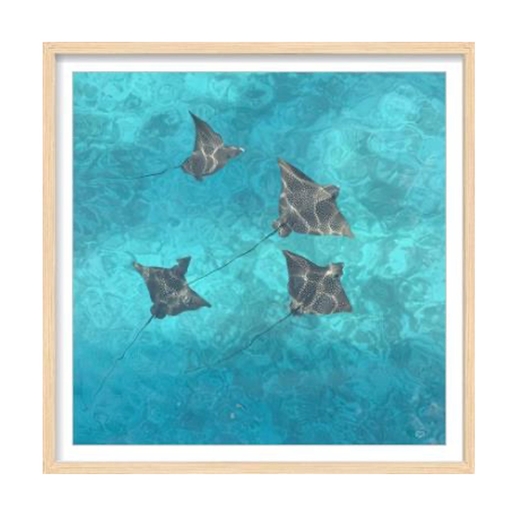 Outside The Box 21x21 Cool Vacation 3 Glass Oak Frame Art