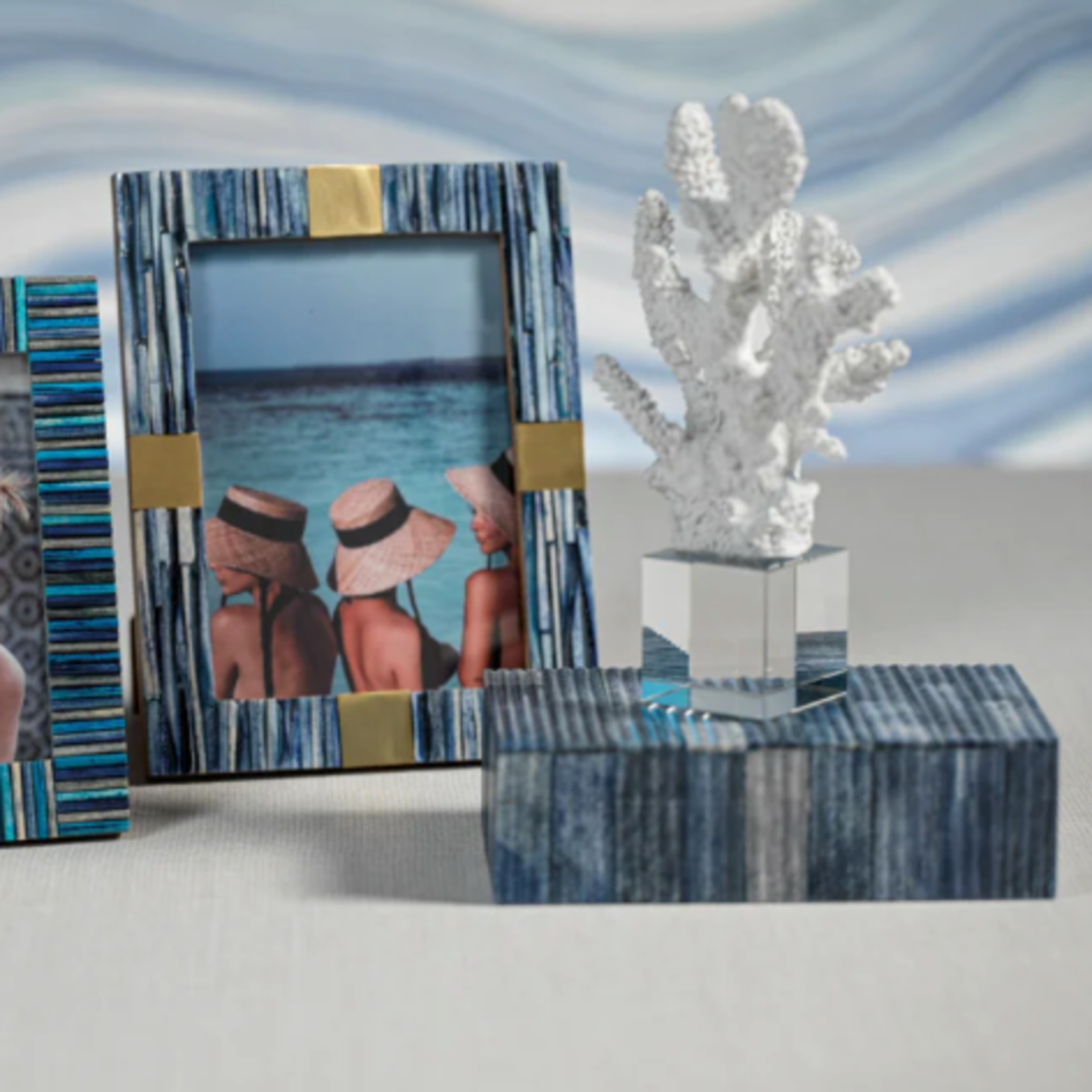 Outside The Box 8x4x3  White Coral Sculpture With Acrylic Base