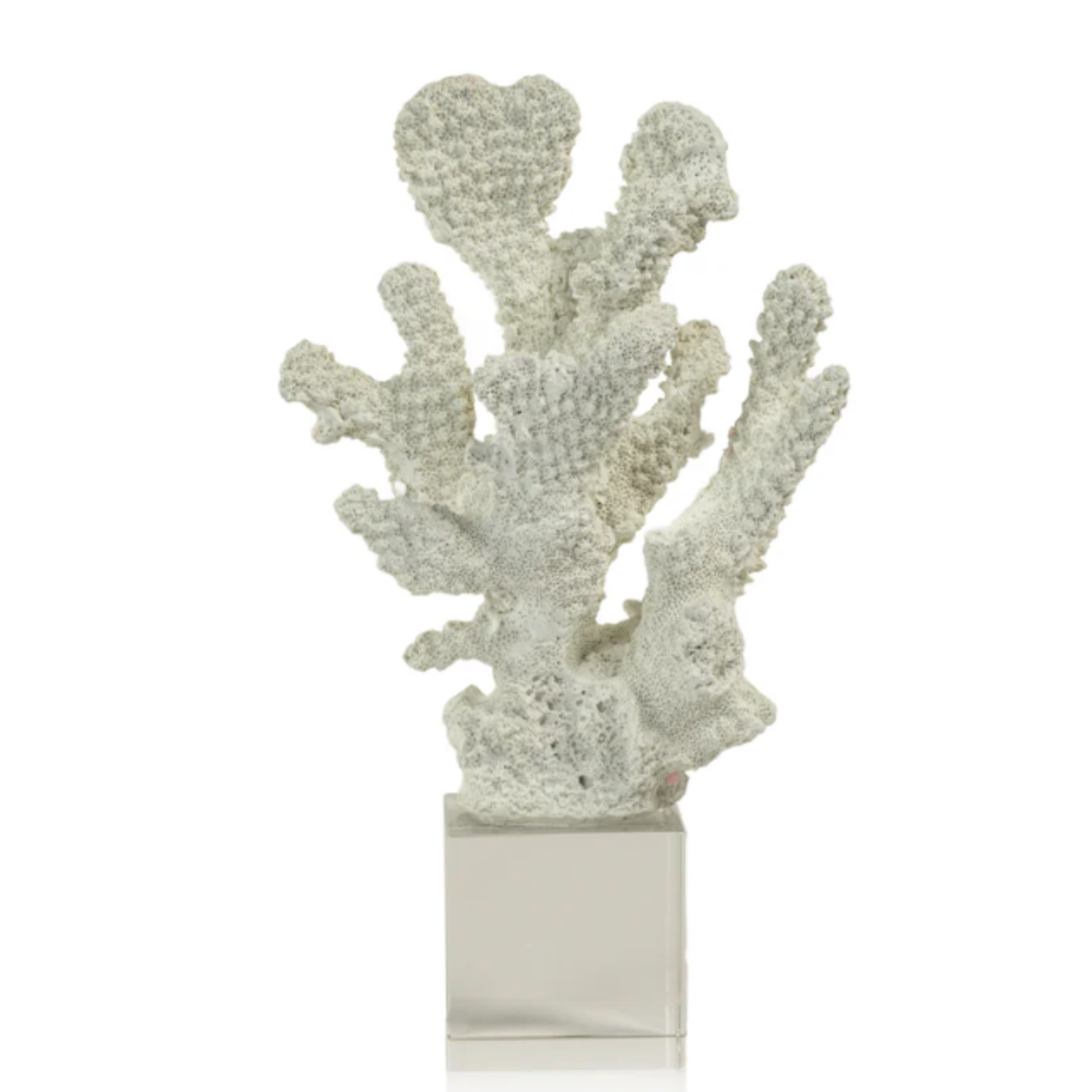 Outside The Box 8x4x3  White Coral Sculpture With Acrylic Base