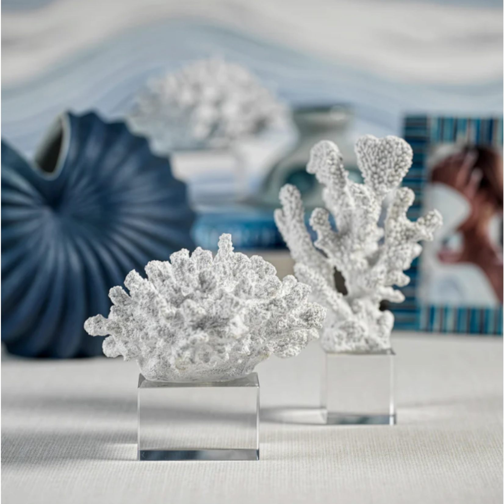 Outside The Box 8x4x3  White Coral Sculpture With Acrylic Base