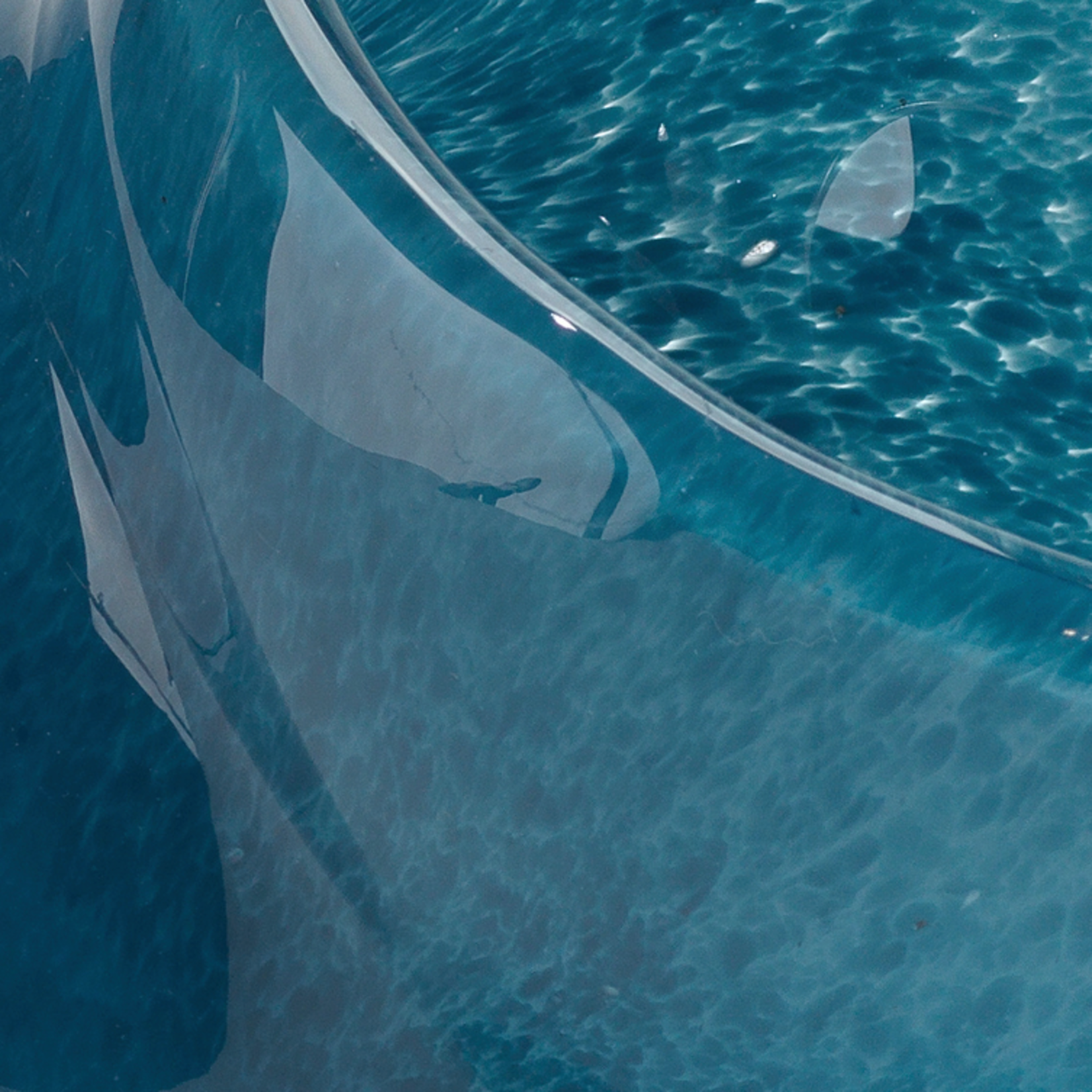 Outside The Box 8" Ariel Dark Blue Hand Blown Glass Shell Decor