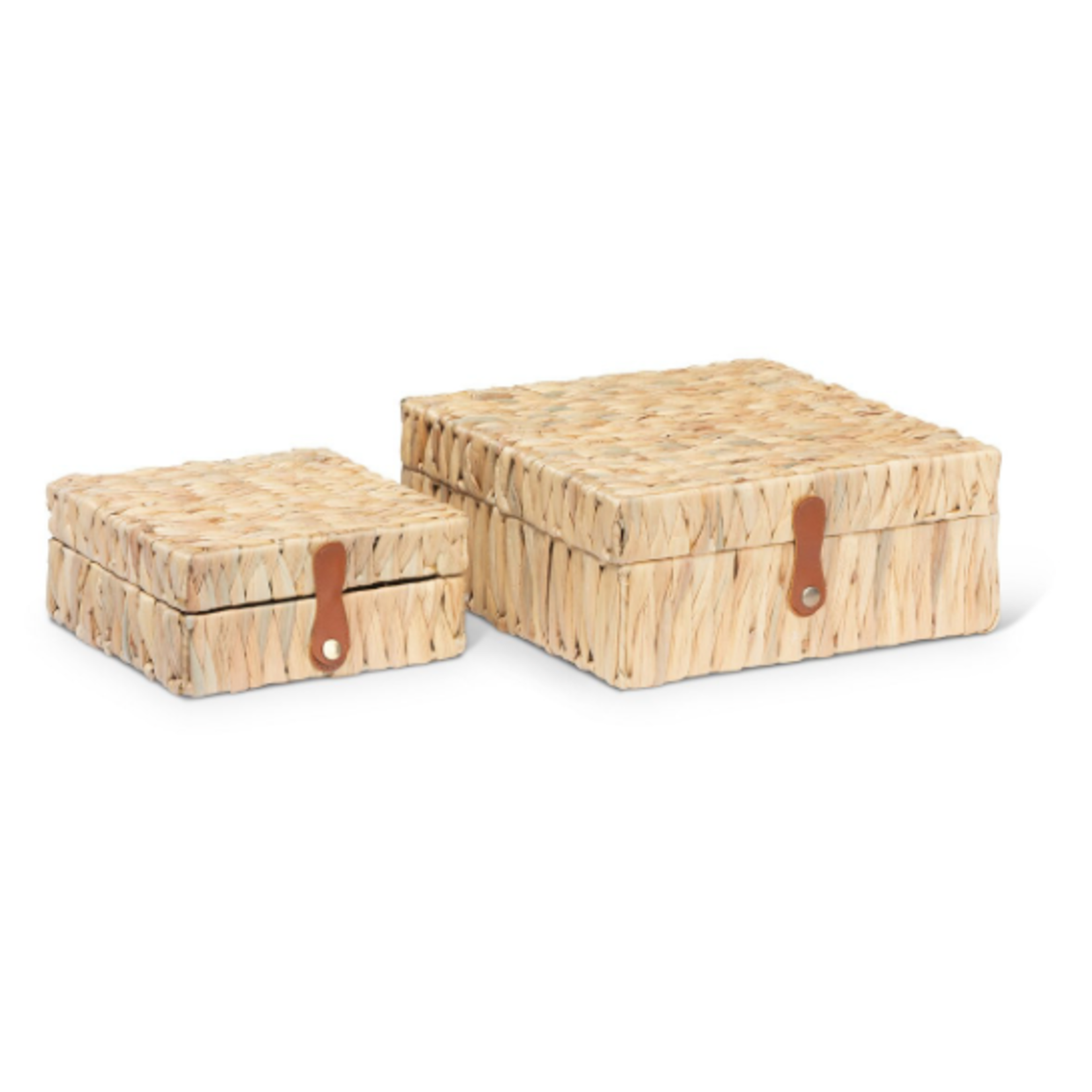 Outside The Box 13" Island Palm Water Hyacinth Decorative Box