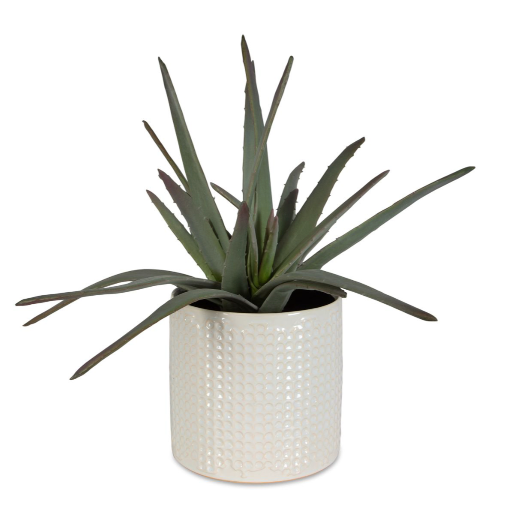 Outside The Box 18" Taos Aloe In White Dimpled Container Centerpiece