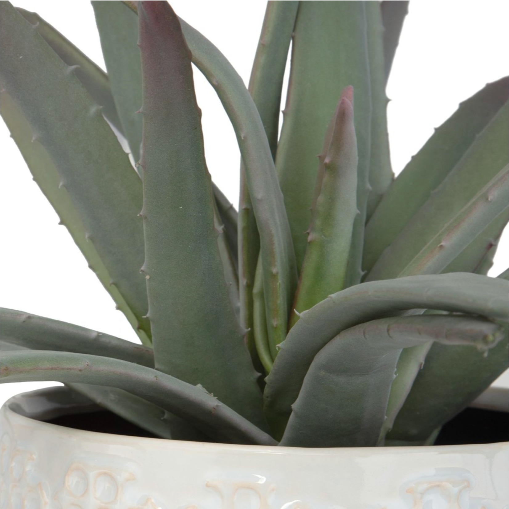 Outside The Box 18" Taos Aloe In White Dimpled Container Centerpiece