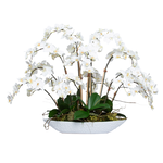 Outside The Box 30" White Phalaenopsis Orchid In White Oval Bowl