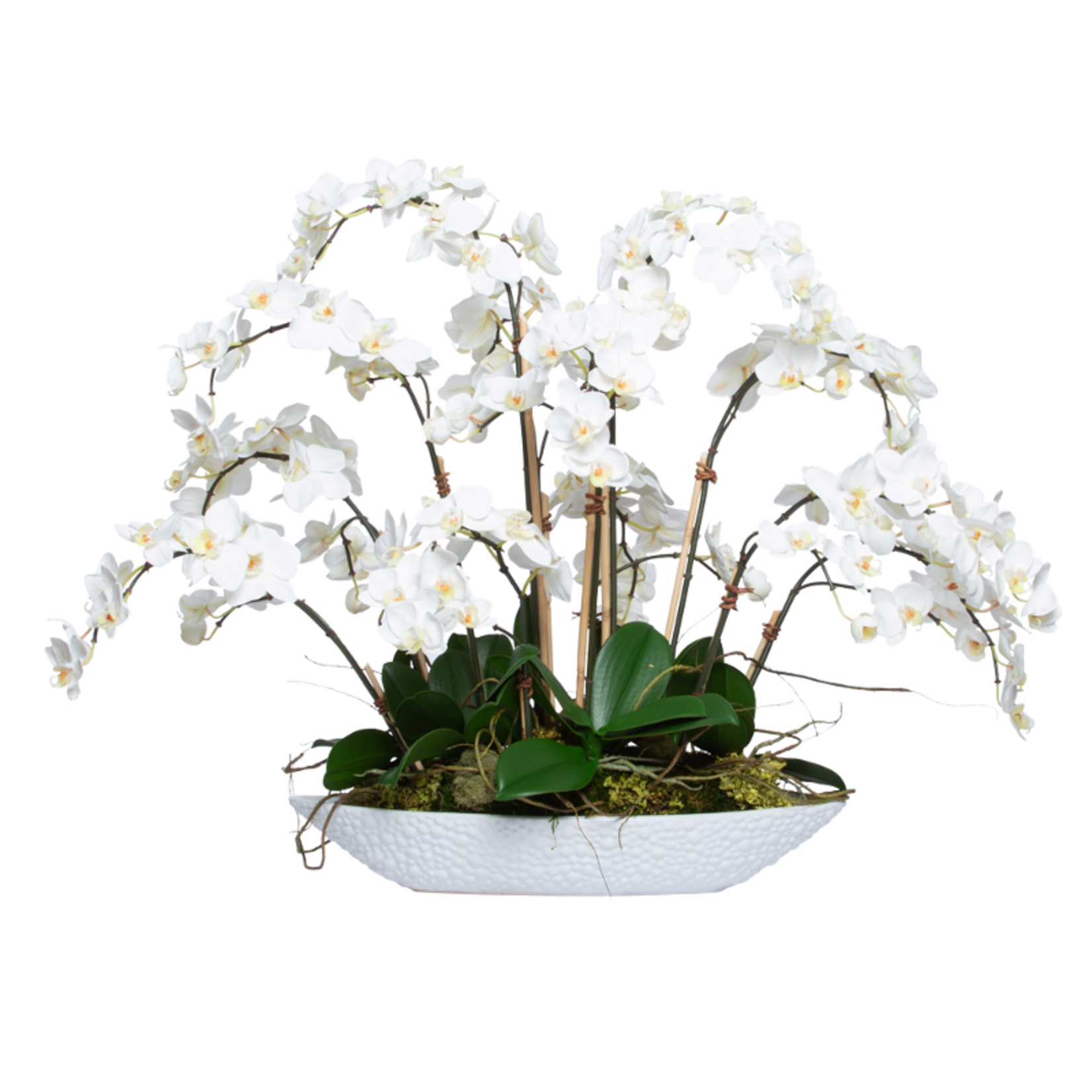 Outside The Box 30" White Phalaenopsis Orchid In White Oval Bowl