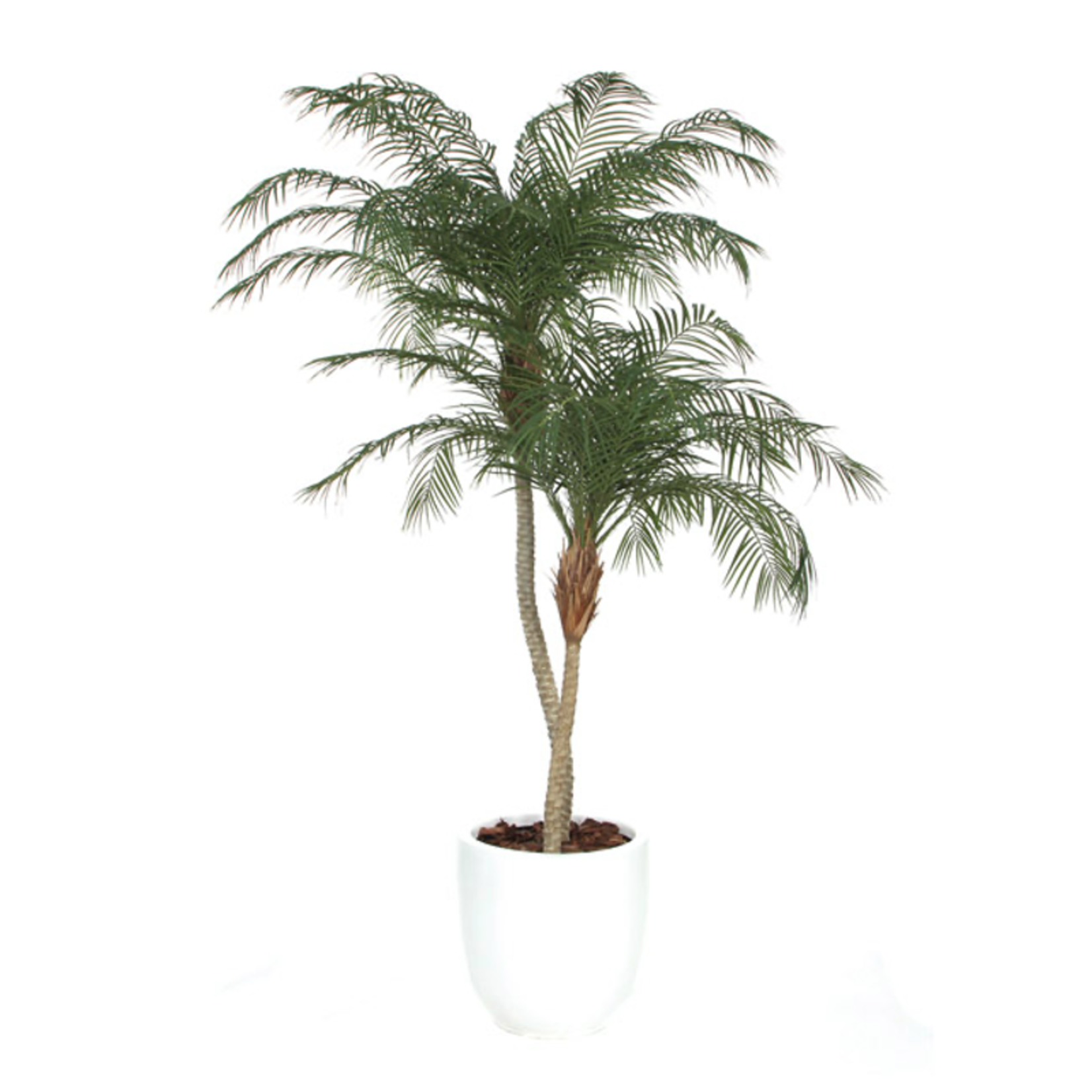 Outside The Box 9' Deluxe Phoenix Palm  Silk UV Tree In 19" White Tapered Pot