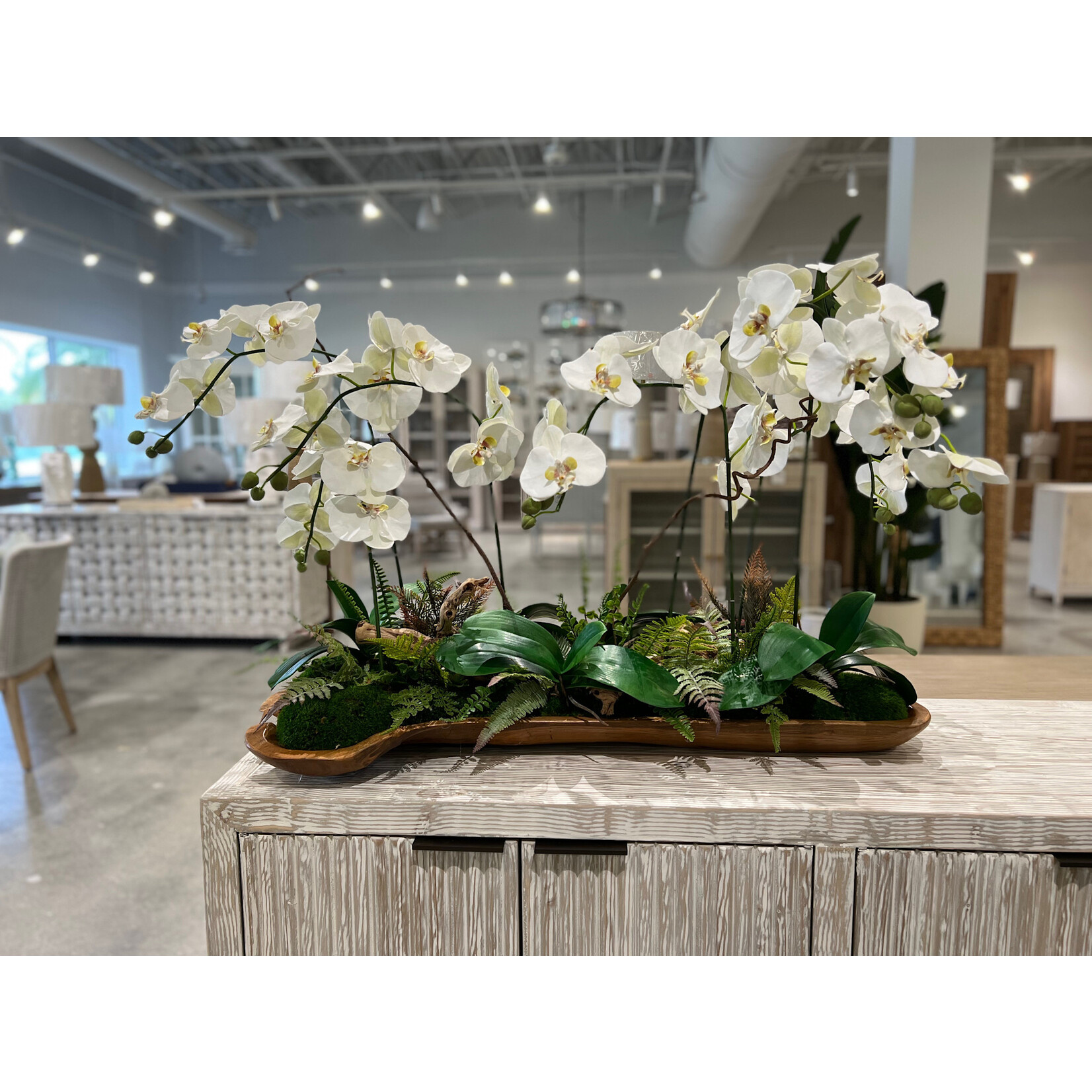 Outside The Box 38x27 Seven White Orchid  Real Touch Tumbled Grapewood Log In Teak Tray