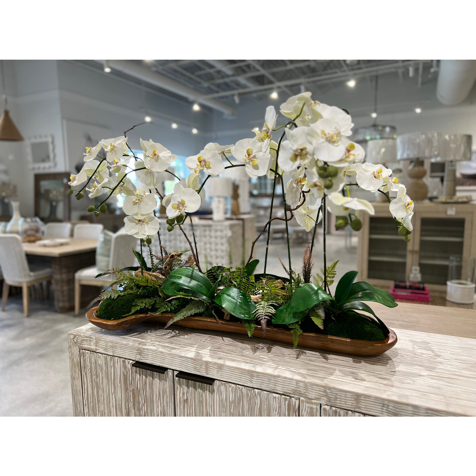 Outside The Box 38x27 Seven White Orchid  Real Touch Tumbled Grapewood Log In Teak Tray